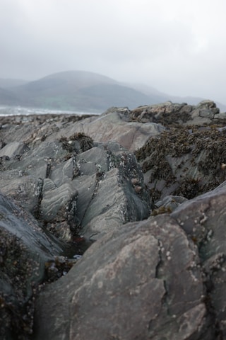Rugged, seaweed-covered rocks in the foreground with a misty mountainous landscape in the background. The scene is cloudy and overcast, creating a moody atmosphere.