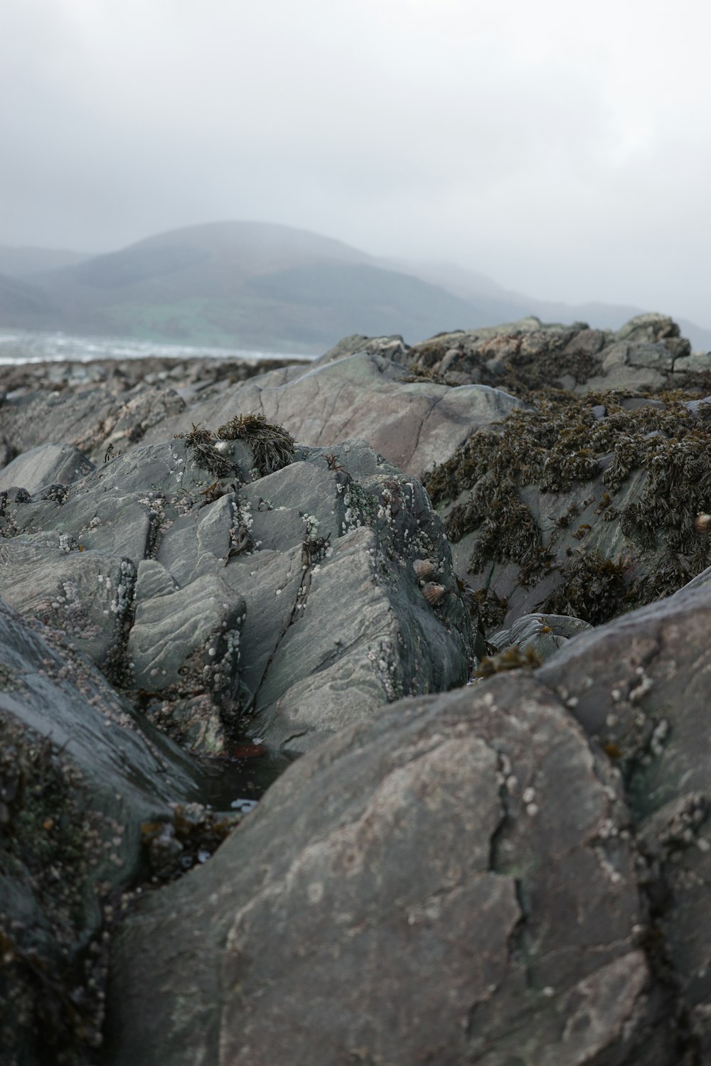 a rocky beach covered in lots of rocks