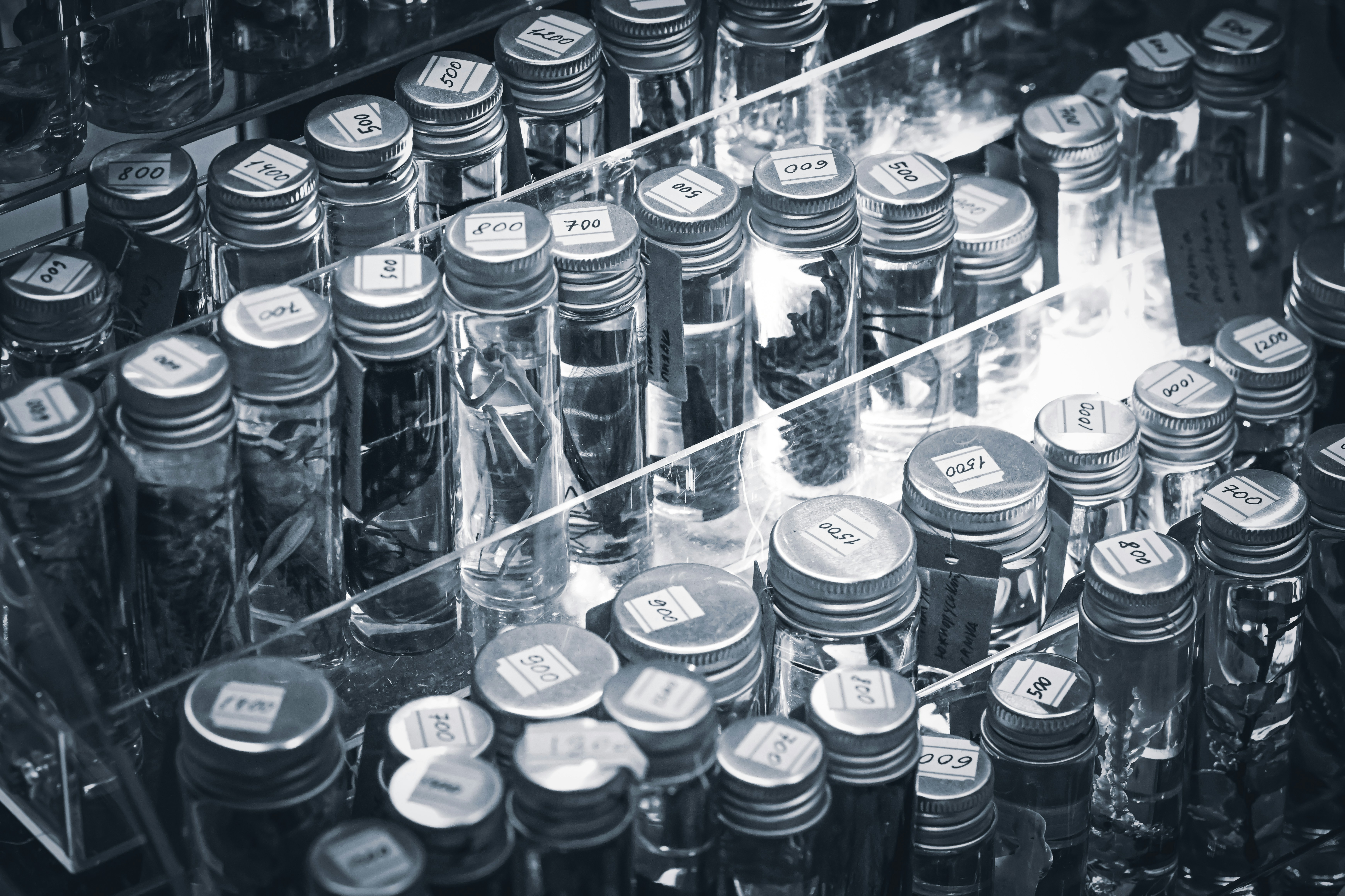 Photo by andreystrizhkov