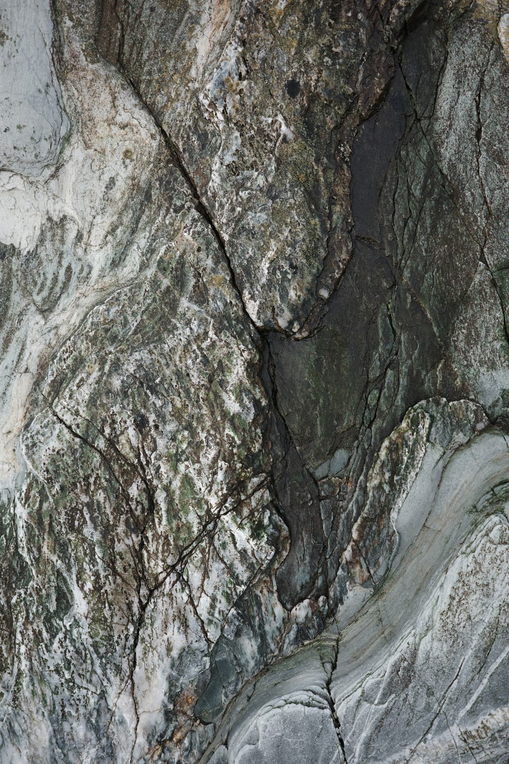 a close up of a rock face with a bird perched on top of it