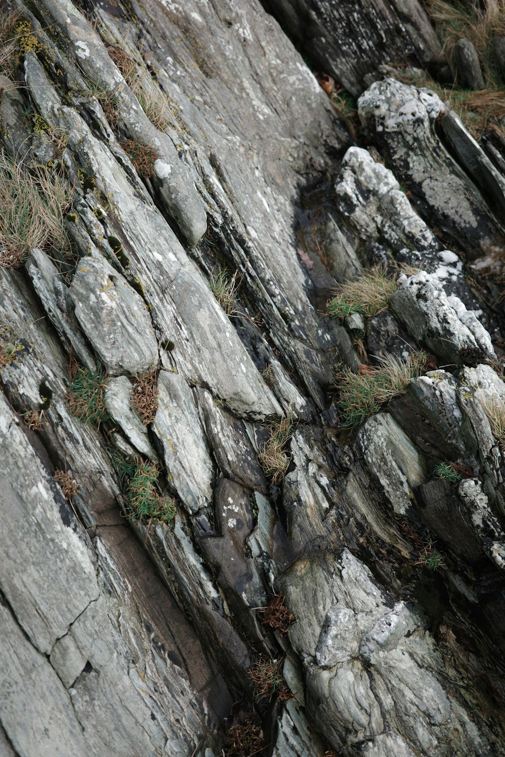 a bird sitting on top of a rock formation