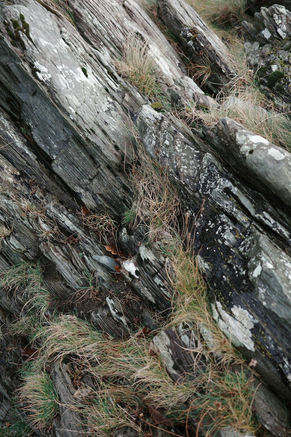 a bird sitting on top of a rock formation