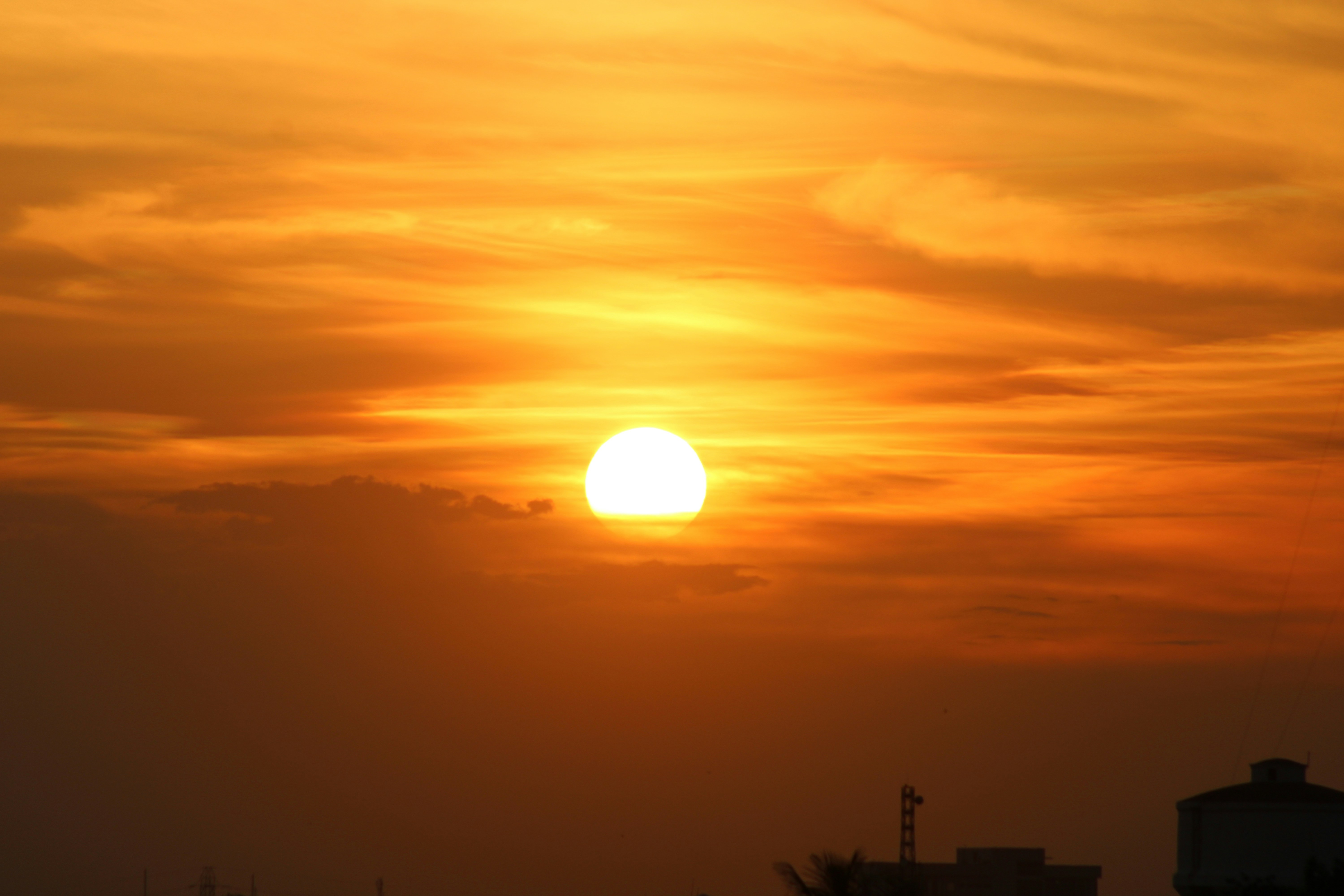 Photo by photoloveramico