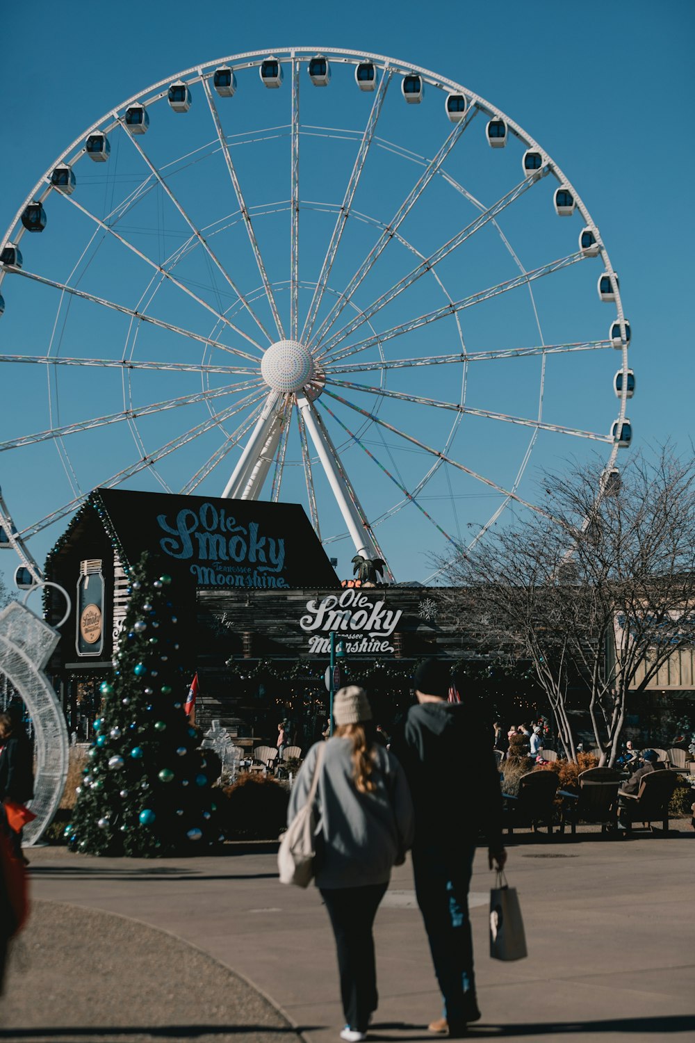 a large ferris wheel sitting next to a christmas tree