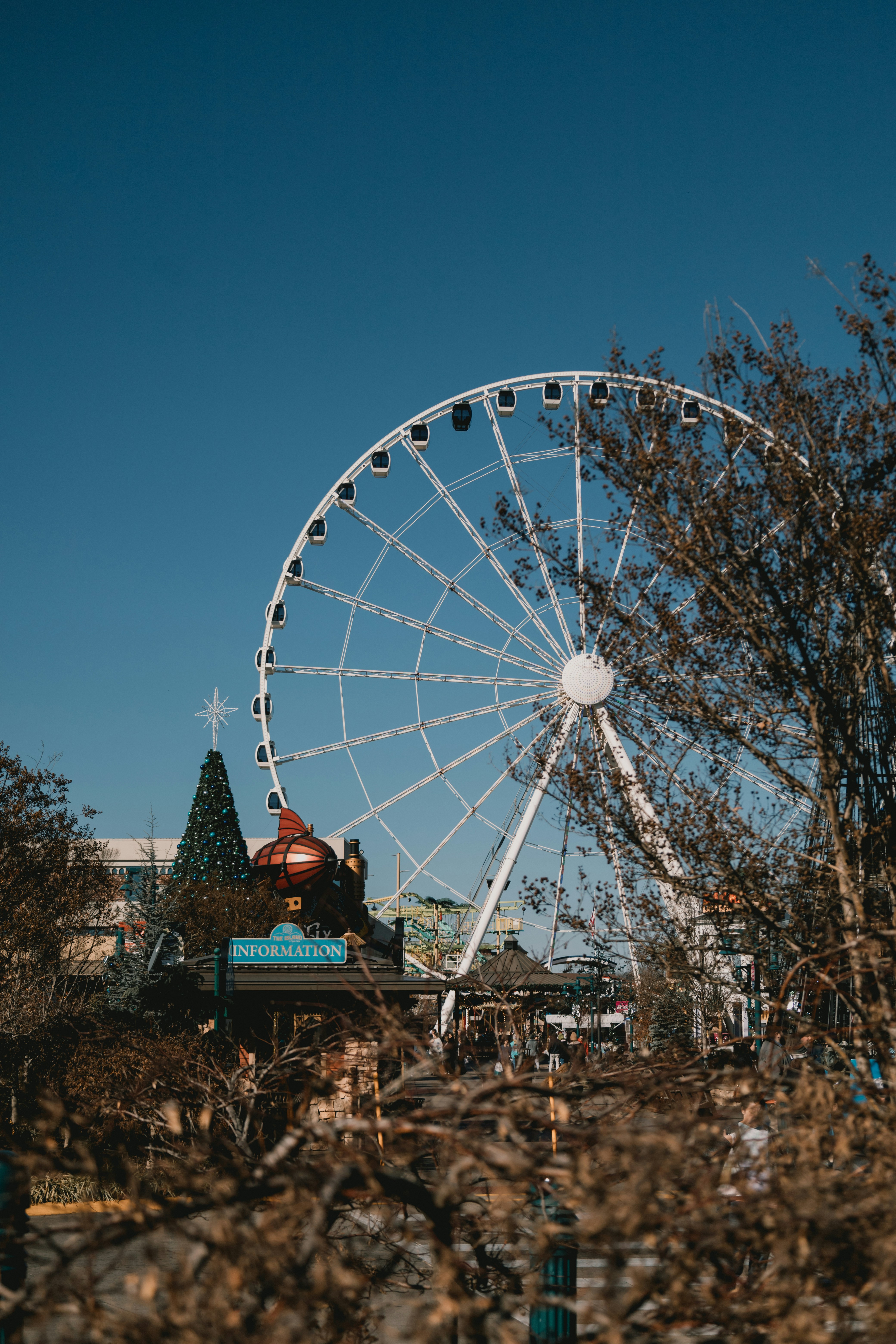 ein großes Riesenrad neben einem Weihnachtsbaum