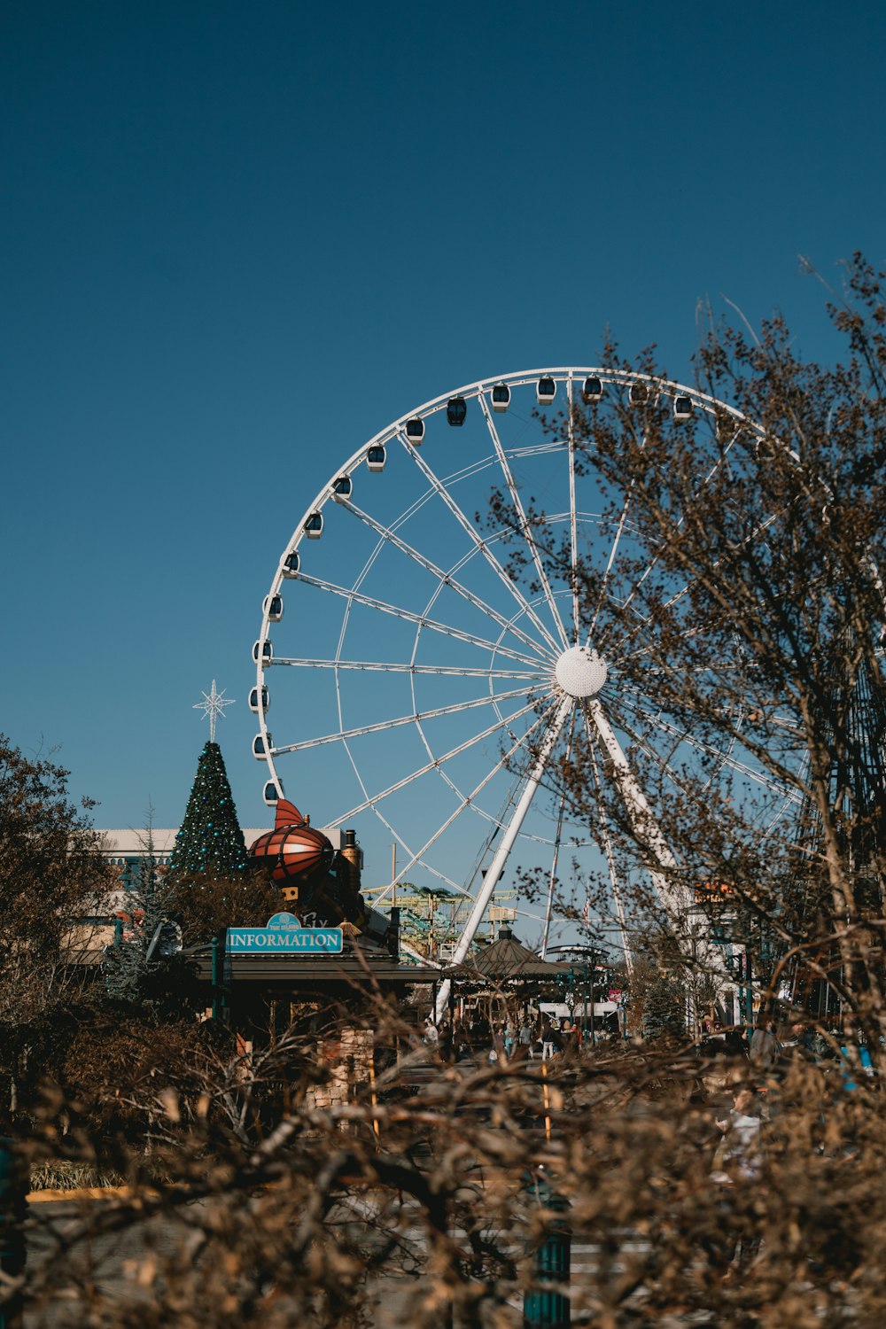 a large ferris wheel sitting next to a christmas tree