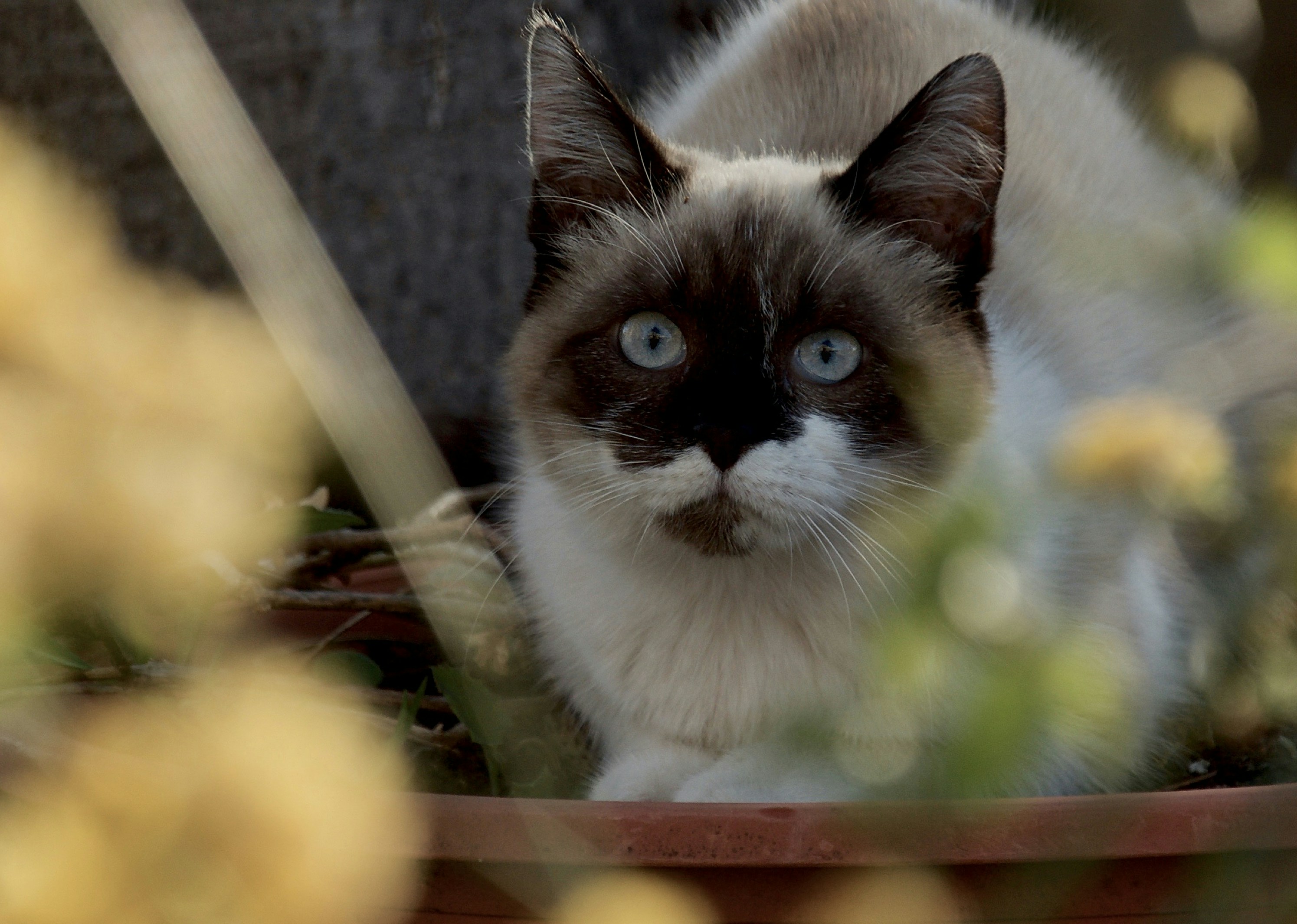 Photo by mariobeducci