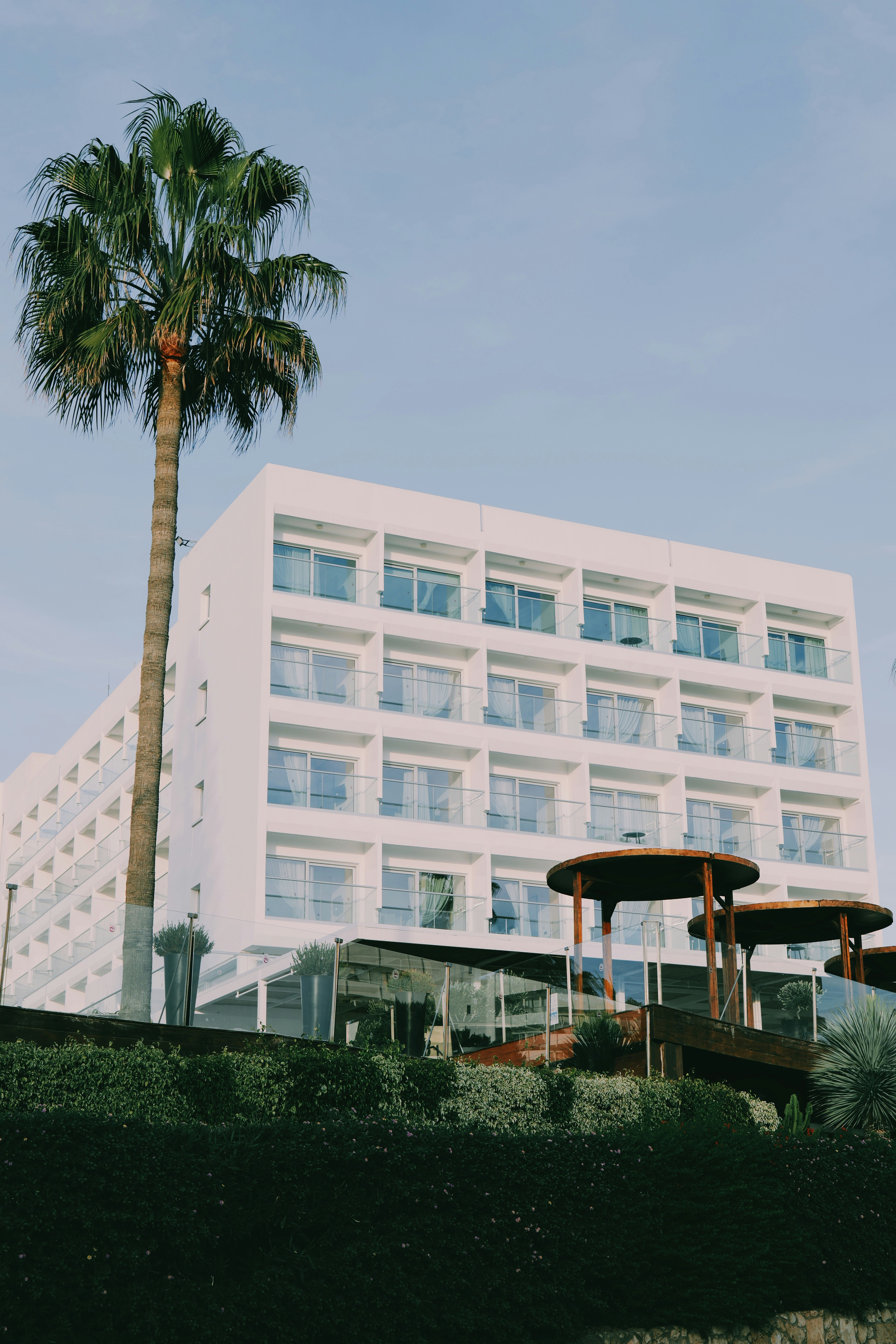 a tall white building with a palm tree in front of it