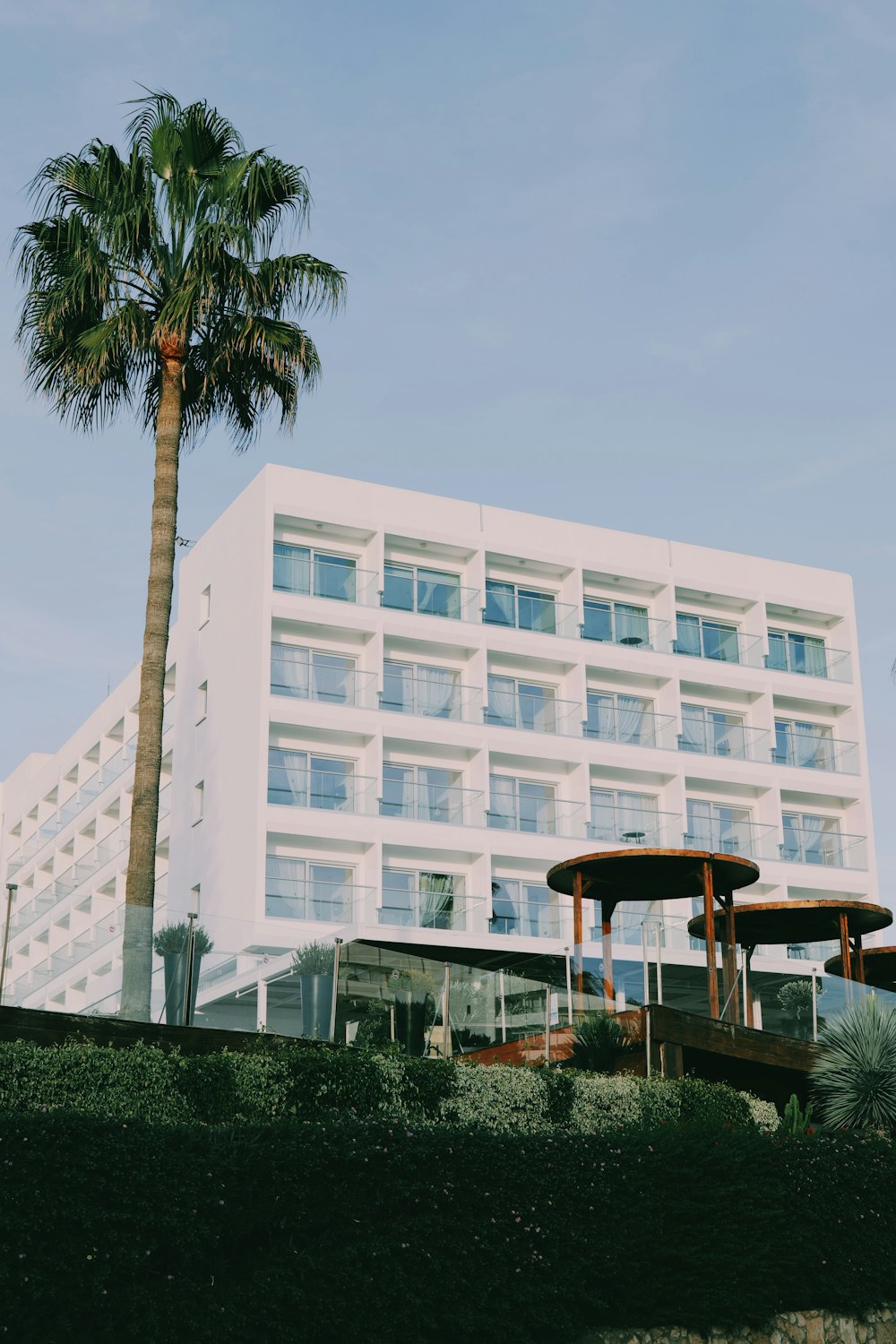 a tall white building with a palm tree in front of it