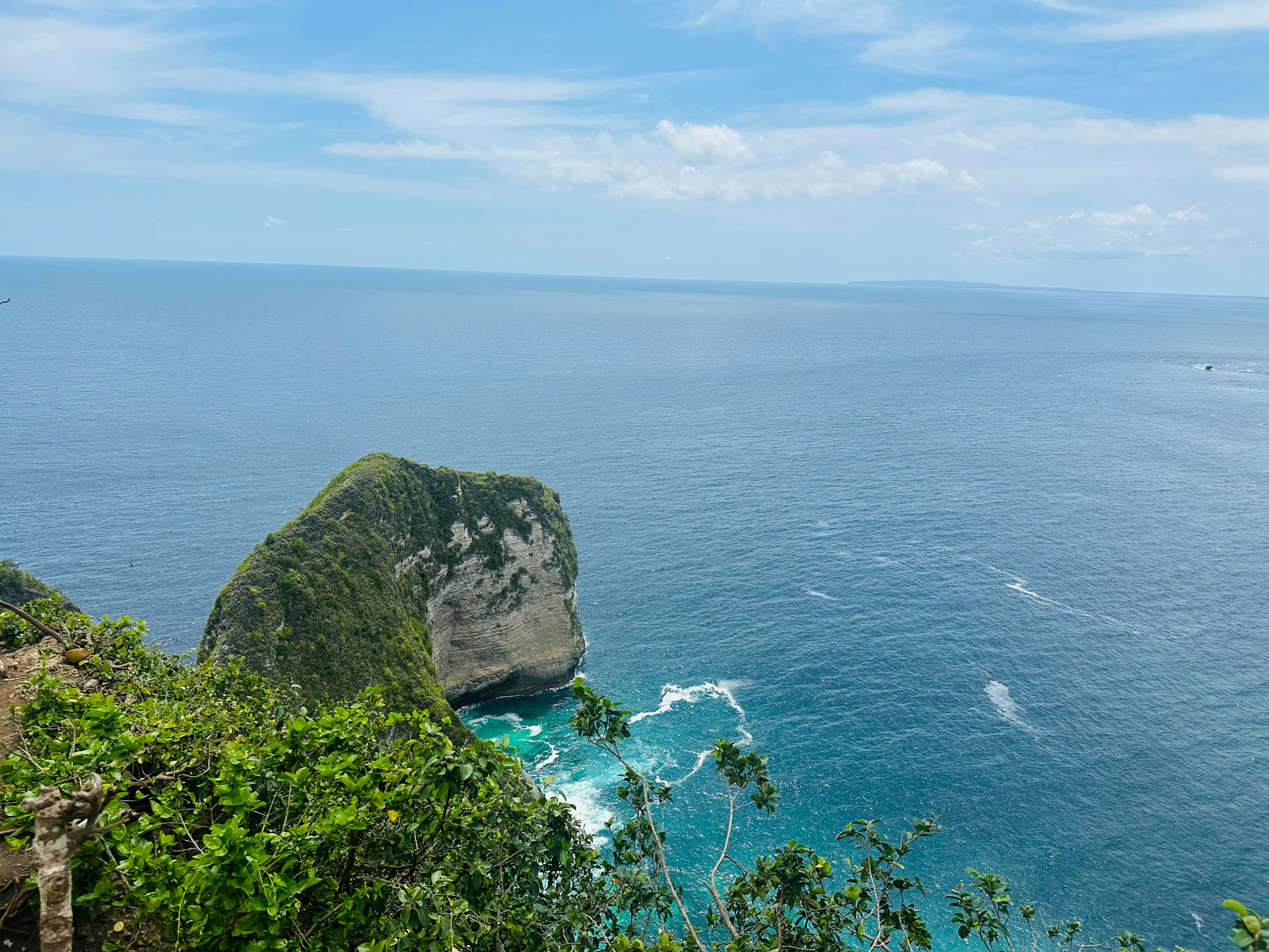 Photo by naturephoto1