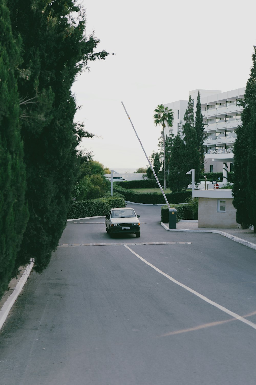 a car driving down a street next to tall trees