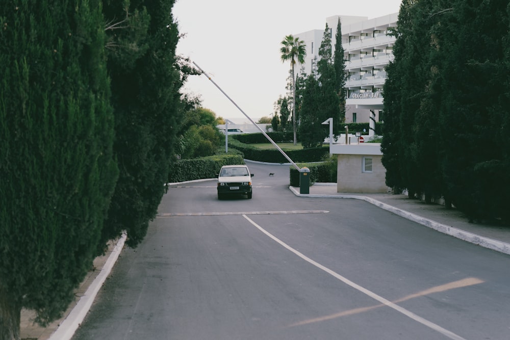 a car driving down a street next to tall trees