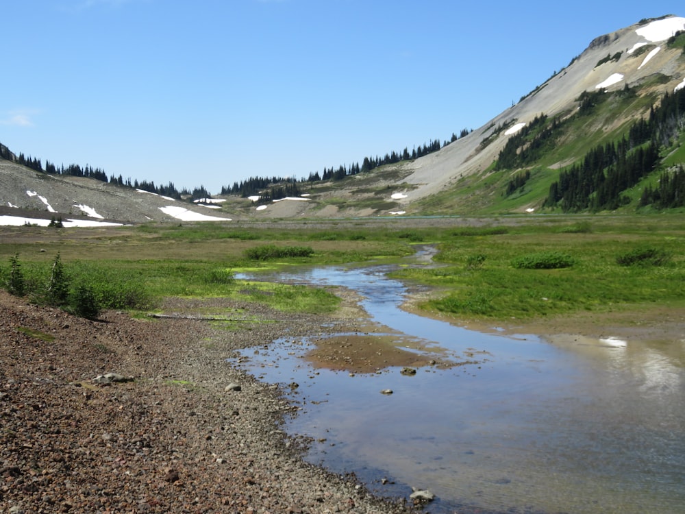 a stream running through a lush green valley