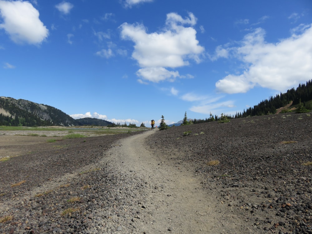 a dirt road in the middle of a field