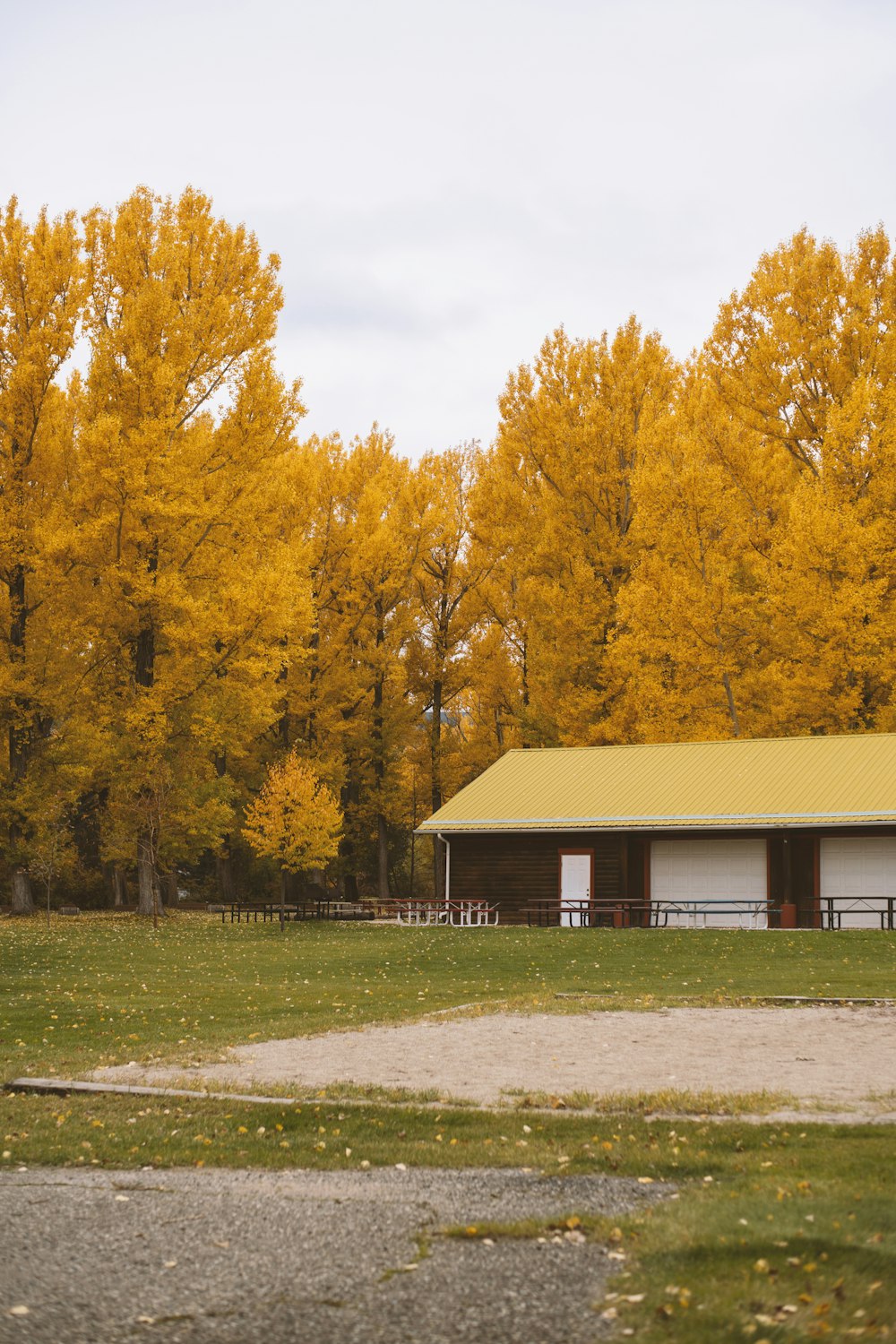 a yellow and white barn in a field with trees in the background