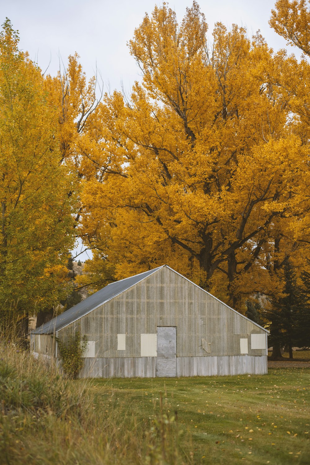 a barn in the middle of a field with trees in the background