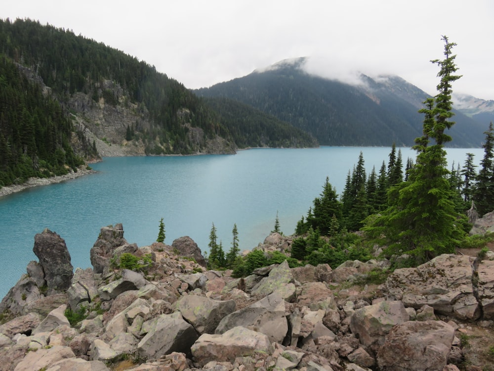 a large body of water surrounded by rocks and trees