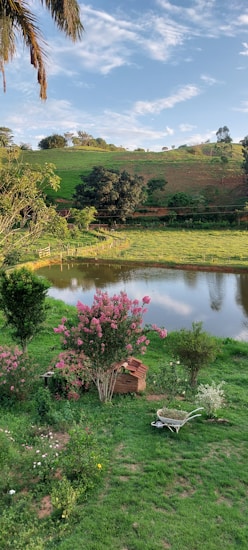 A serene countryside landscape with a small pond surrounded by grassy areas and flowering bushes. A wheelbarrow and a wooden dog house are situated in the foreground, while a vibrant flowering tree with pink blossoms stands nearby. In the background, rolling hills and patches of trees complete the tranquil scene, under a mostly clear blue sky.