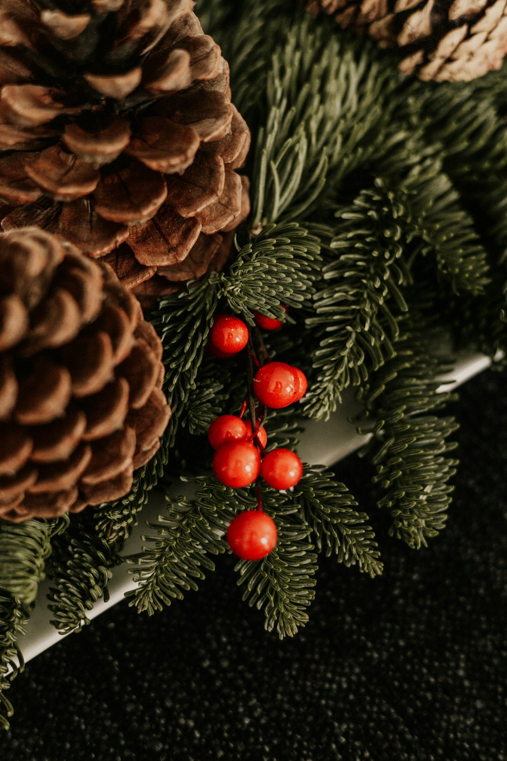 a close up of pine cones and berries