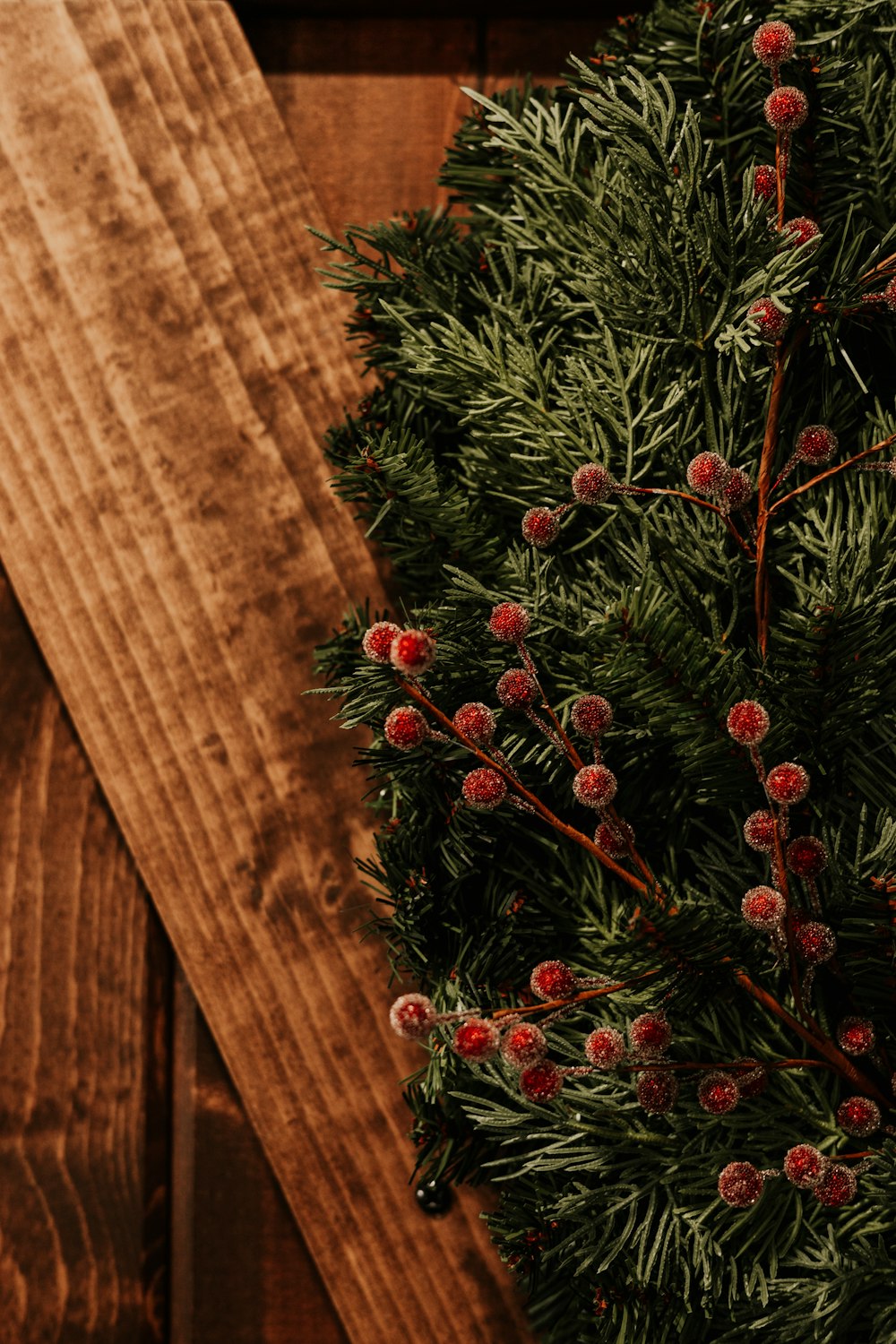 a close up of a pine tree with berries on it