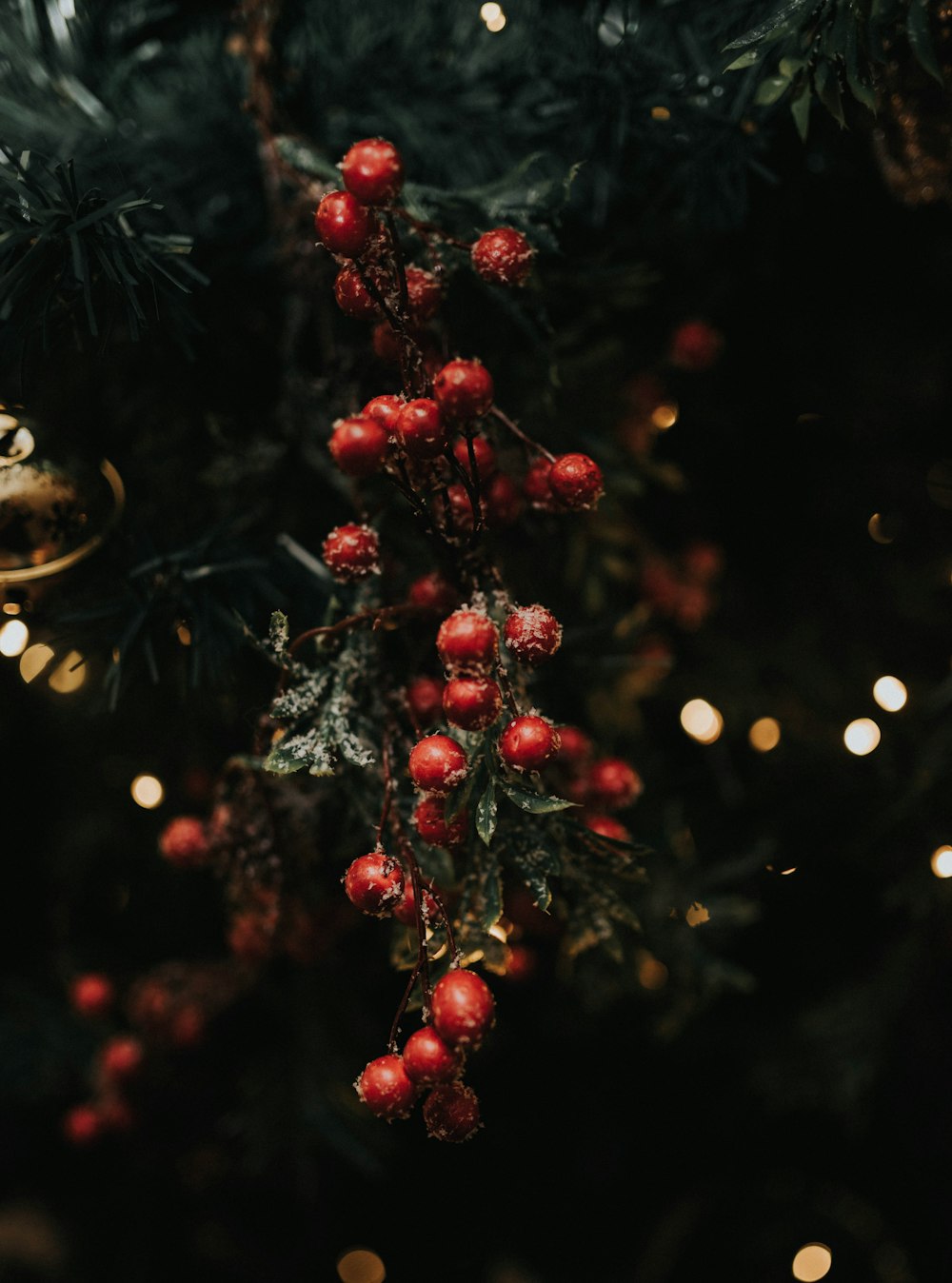 a close up of a christmas tree with red berries