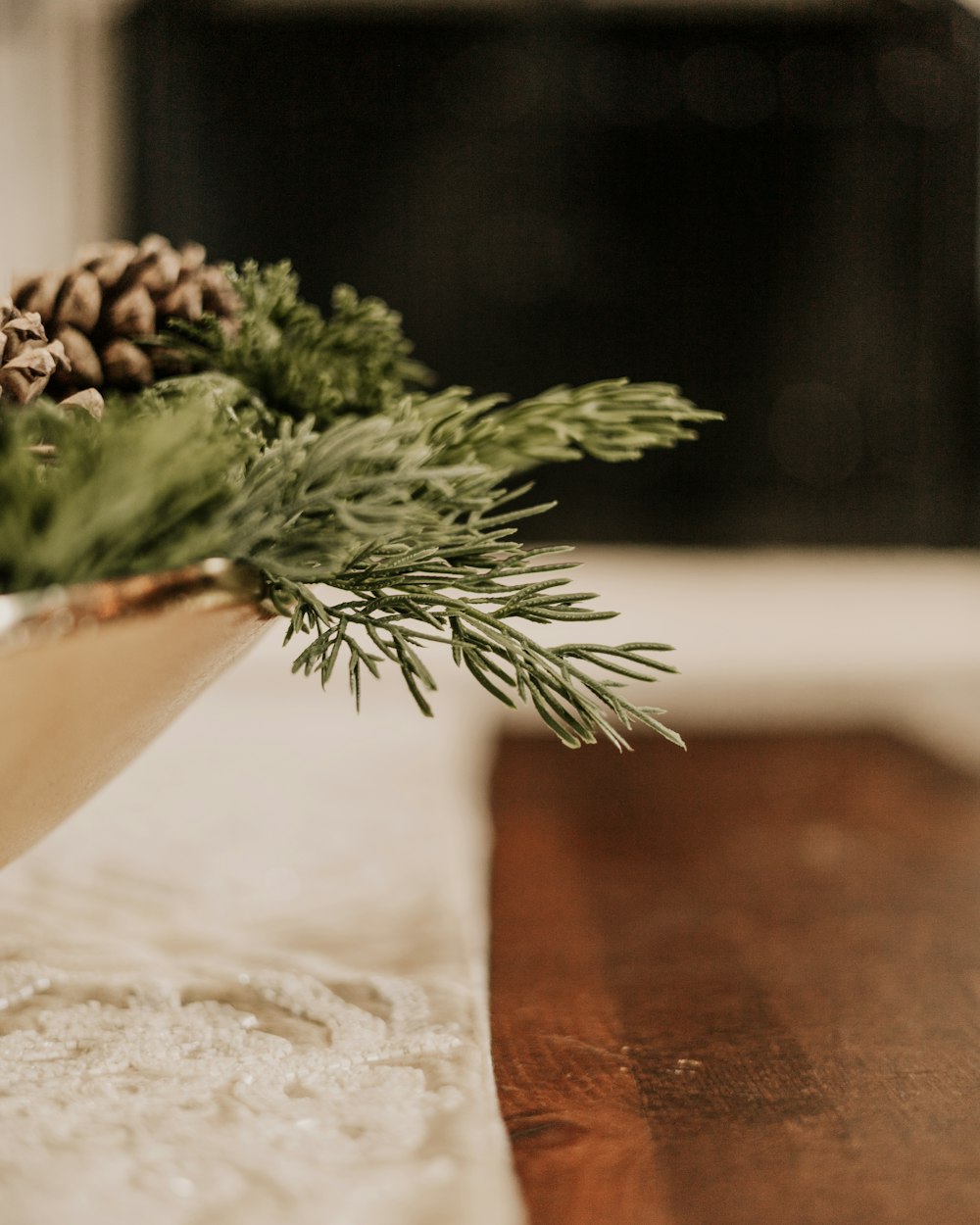 a close up of a pine cone on a table