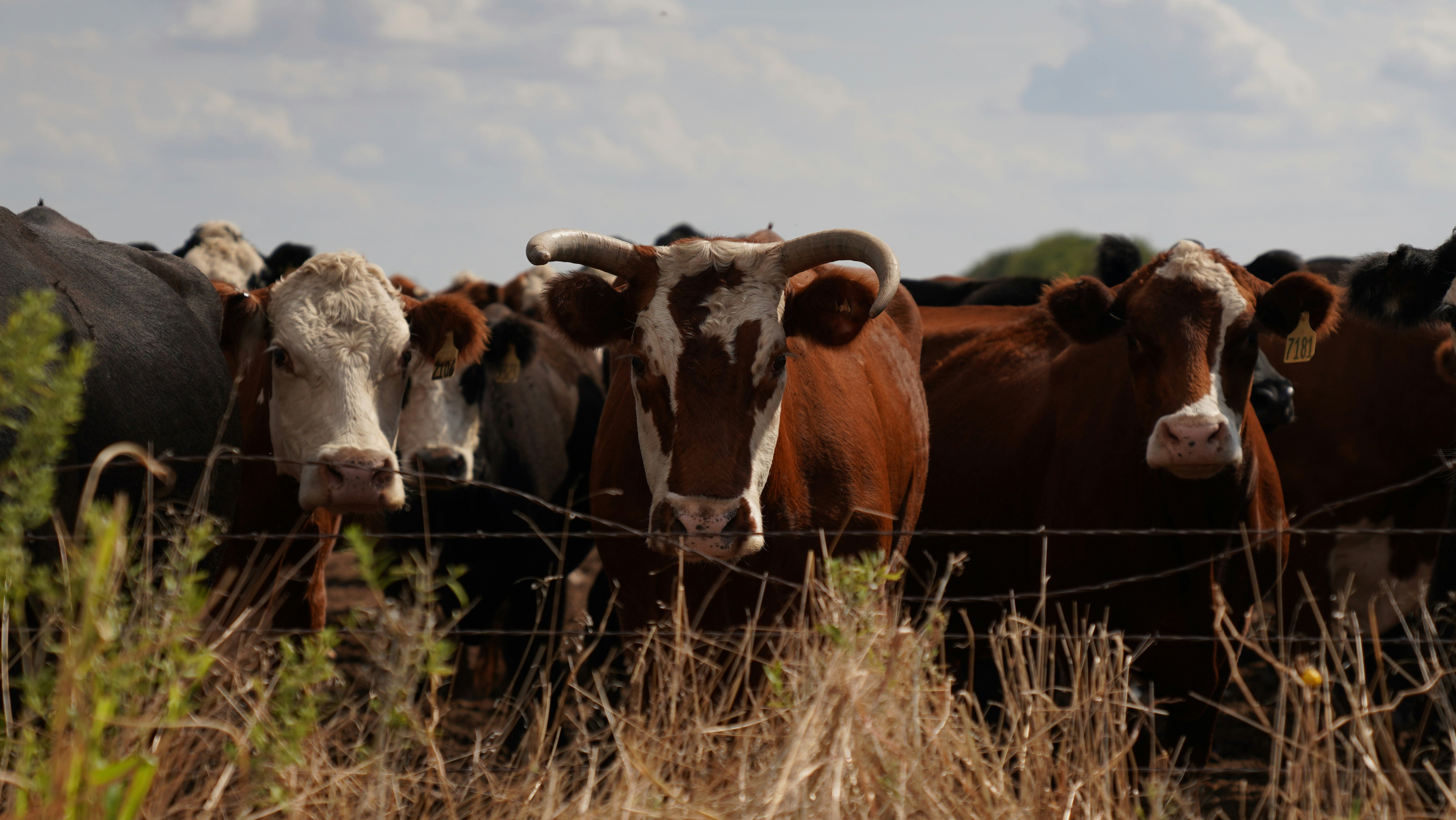 Photo by balianroberts