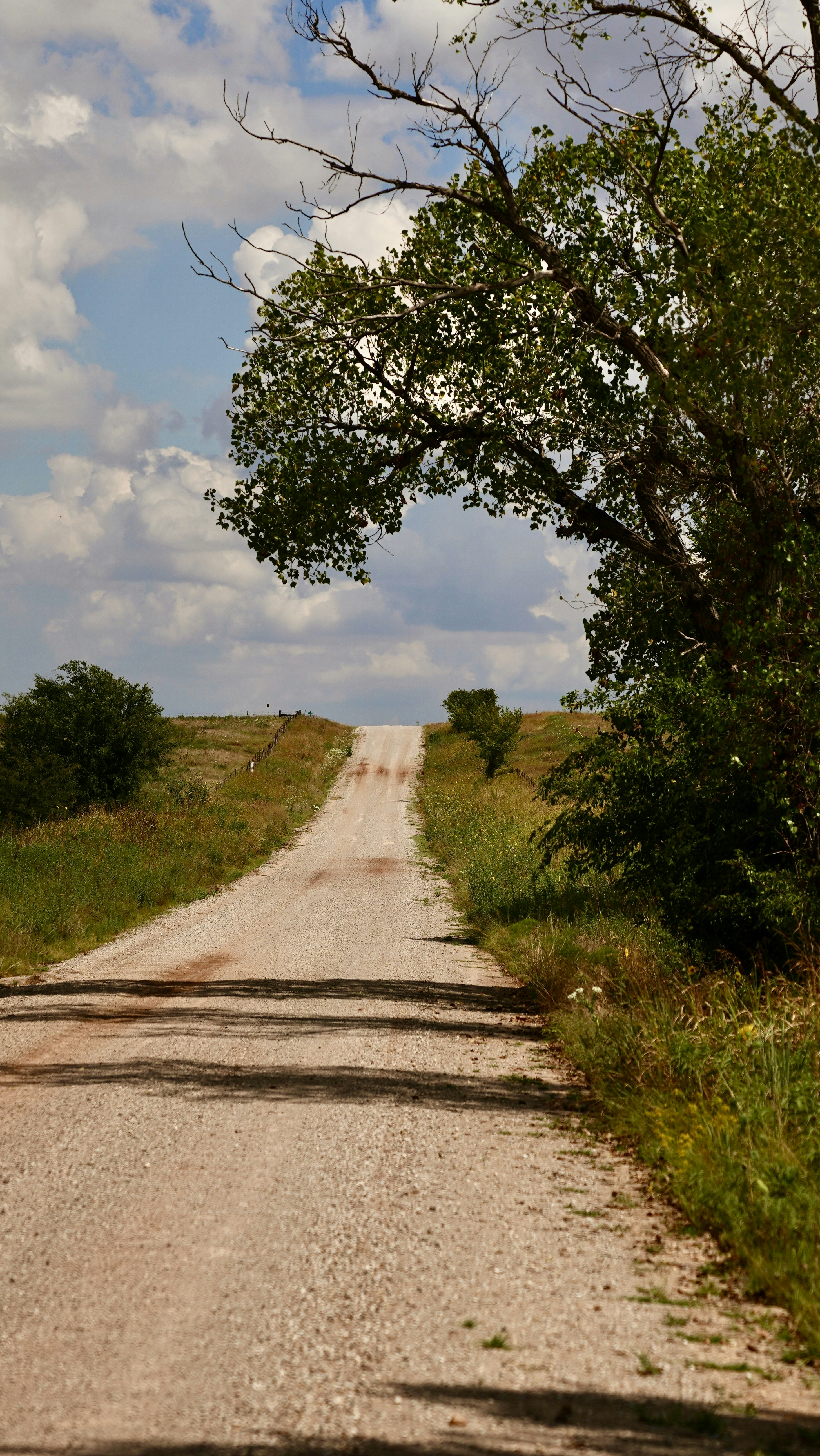 Photo by balianroberts