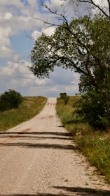 a dirt road with a tree on the side of it