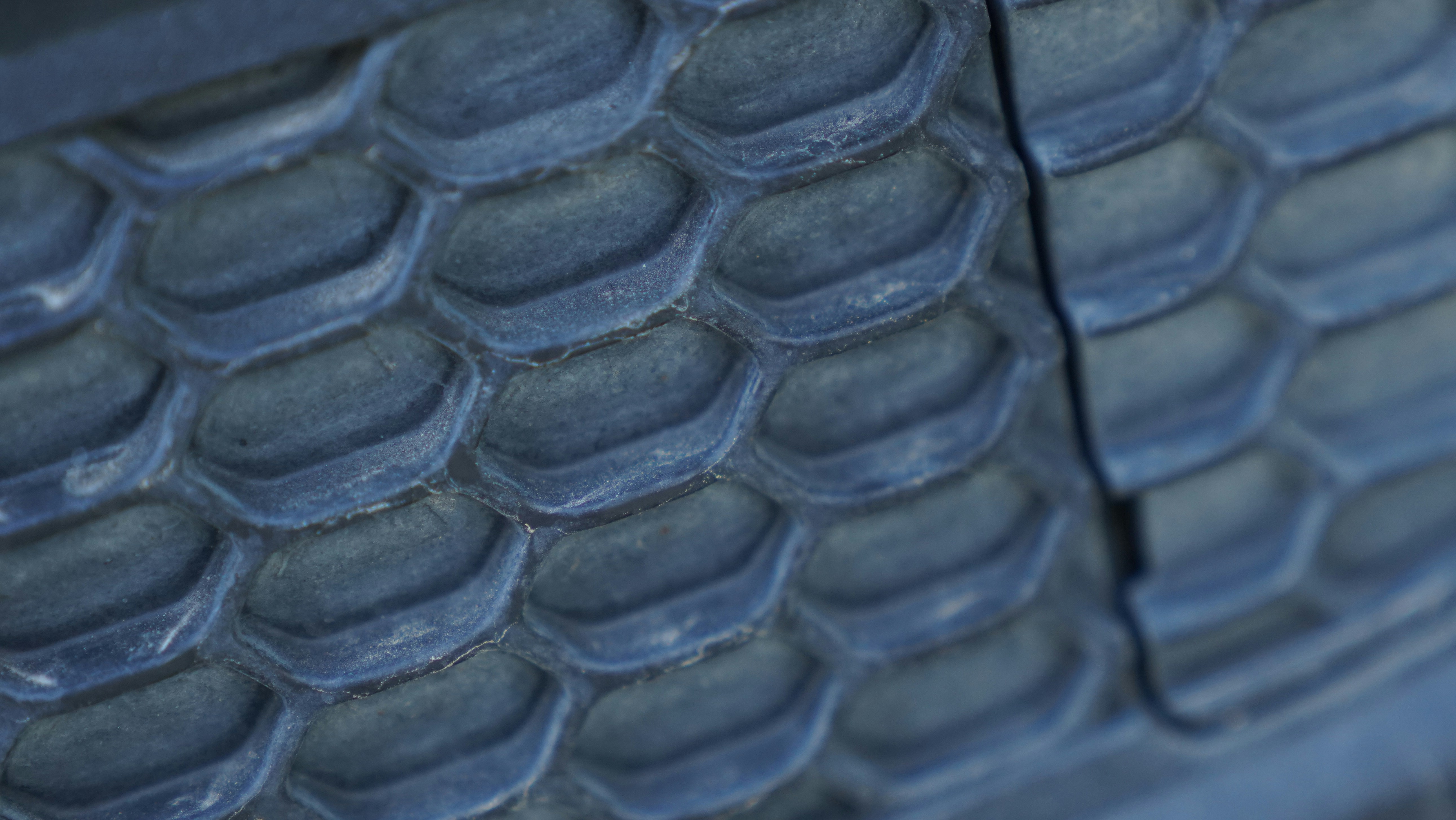 Photo by balianroberts