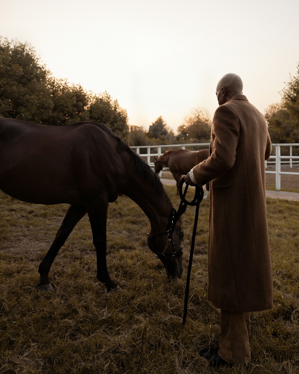 a man standing next to a brown horse on a lush green field