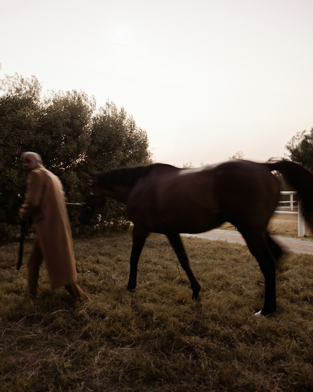 a man walking a horse in a field