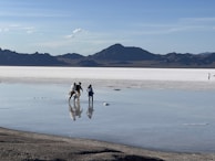 A group of travelers enjoying a guided tour through the salt flats with mountains in the distance.