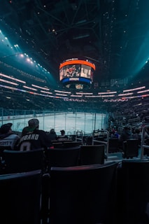 a hockey stadium filled with fans watching a game