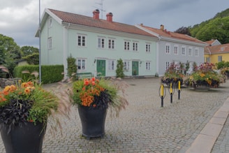 A charming, pastel-colored residential building with a cobblestone courtyard. Large, lush flower pots with vibrant orange and red flowers line the foreground. The building has multiple windows and a green door, surrounded by well-maintained greenery.
