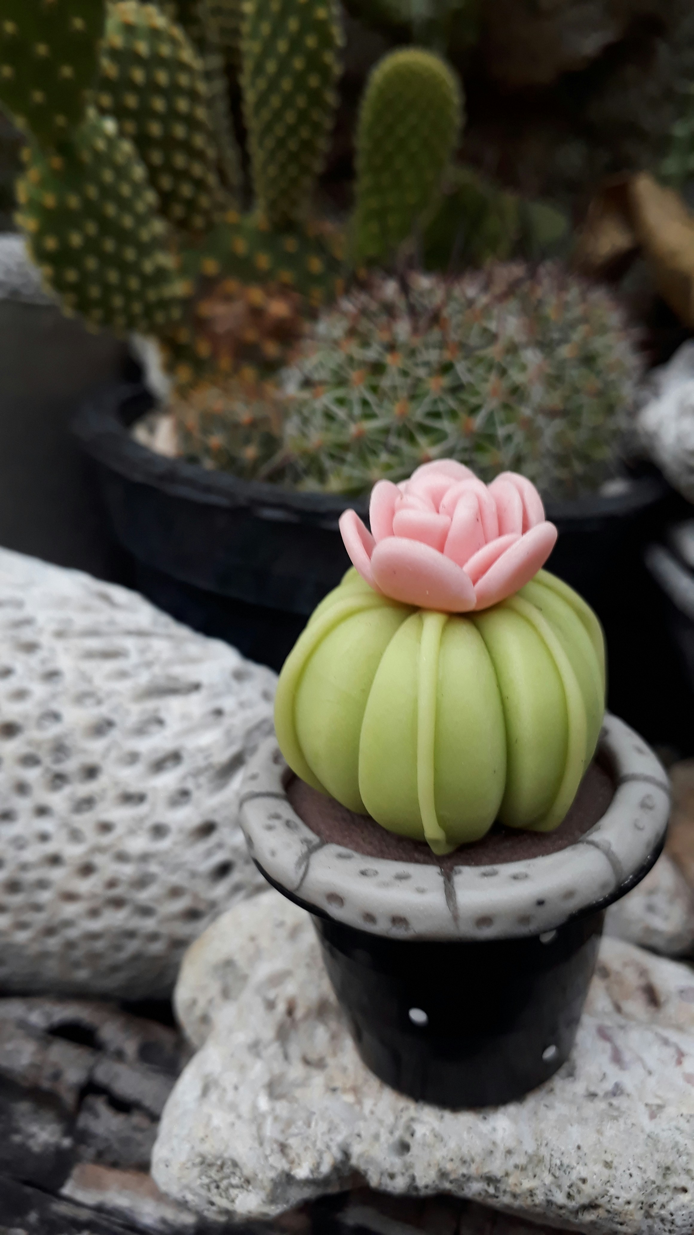 Artistic Alternatives to Embracing the Beauty of Cacti