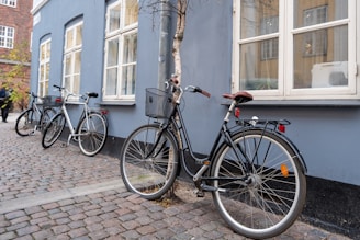 Bicycles are parked along a cobblestone street next to a building with light blue walls and large white-framed windows. One bike is placed close to a thin tree growing along the sidewalk.