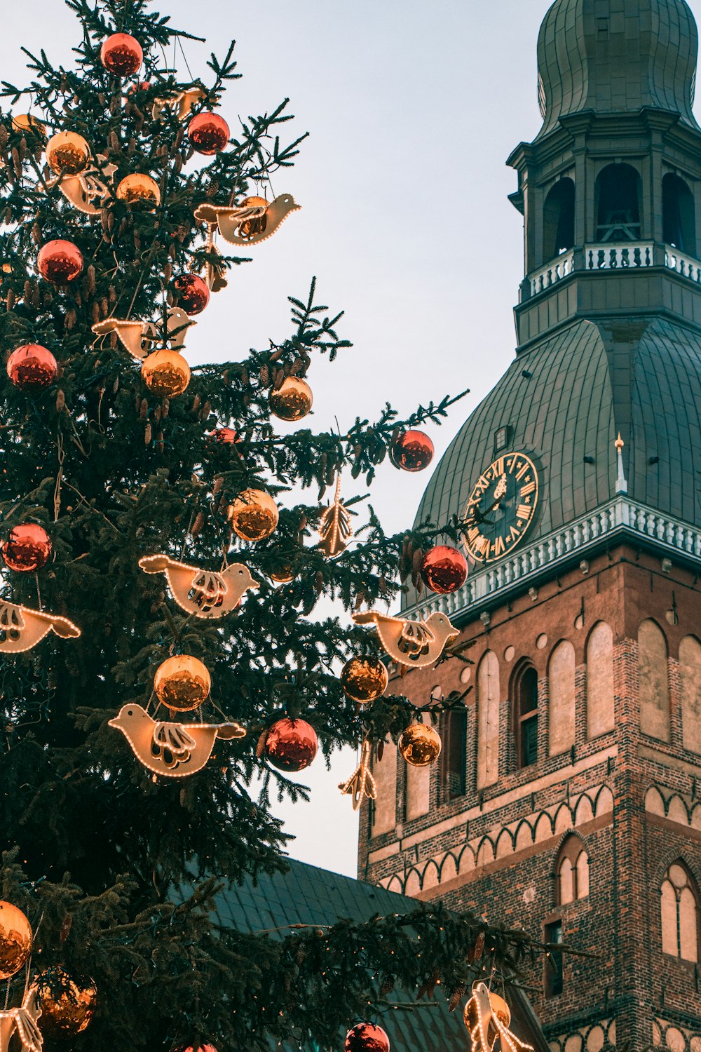 a large christmas tree in front of a building