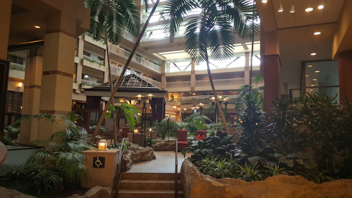 Sunlit lobby featuring indoor trees and stone water features.