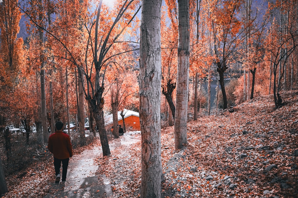 a person walking down a path in the woods