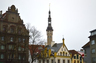 A European cityscape featuring historic architecture with ornate facades and a prominent church spire towering above the buildings. Bare trees add a touch of winter atmosphere to the scene.
