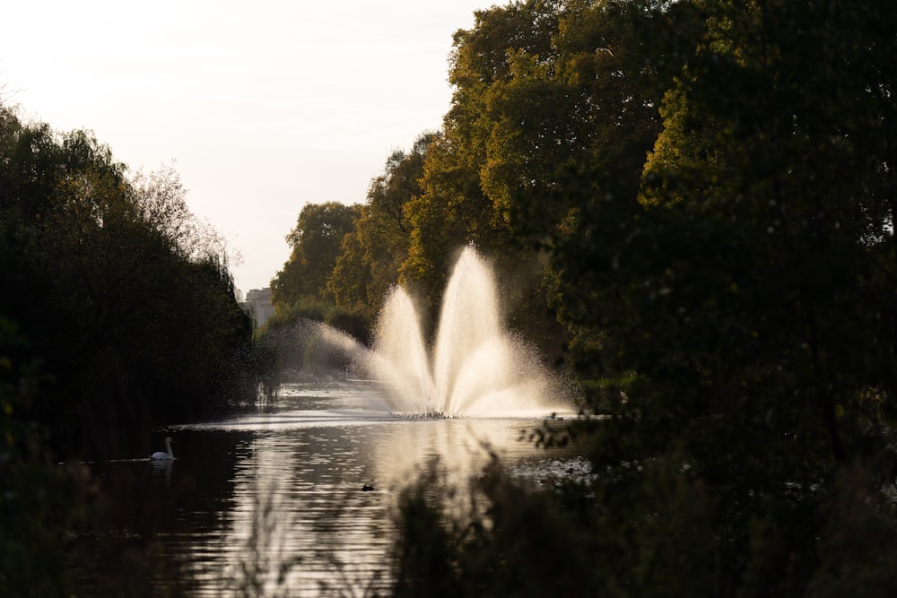 a large fountain spewing water into a lake surrounded by trees
