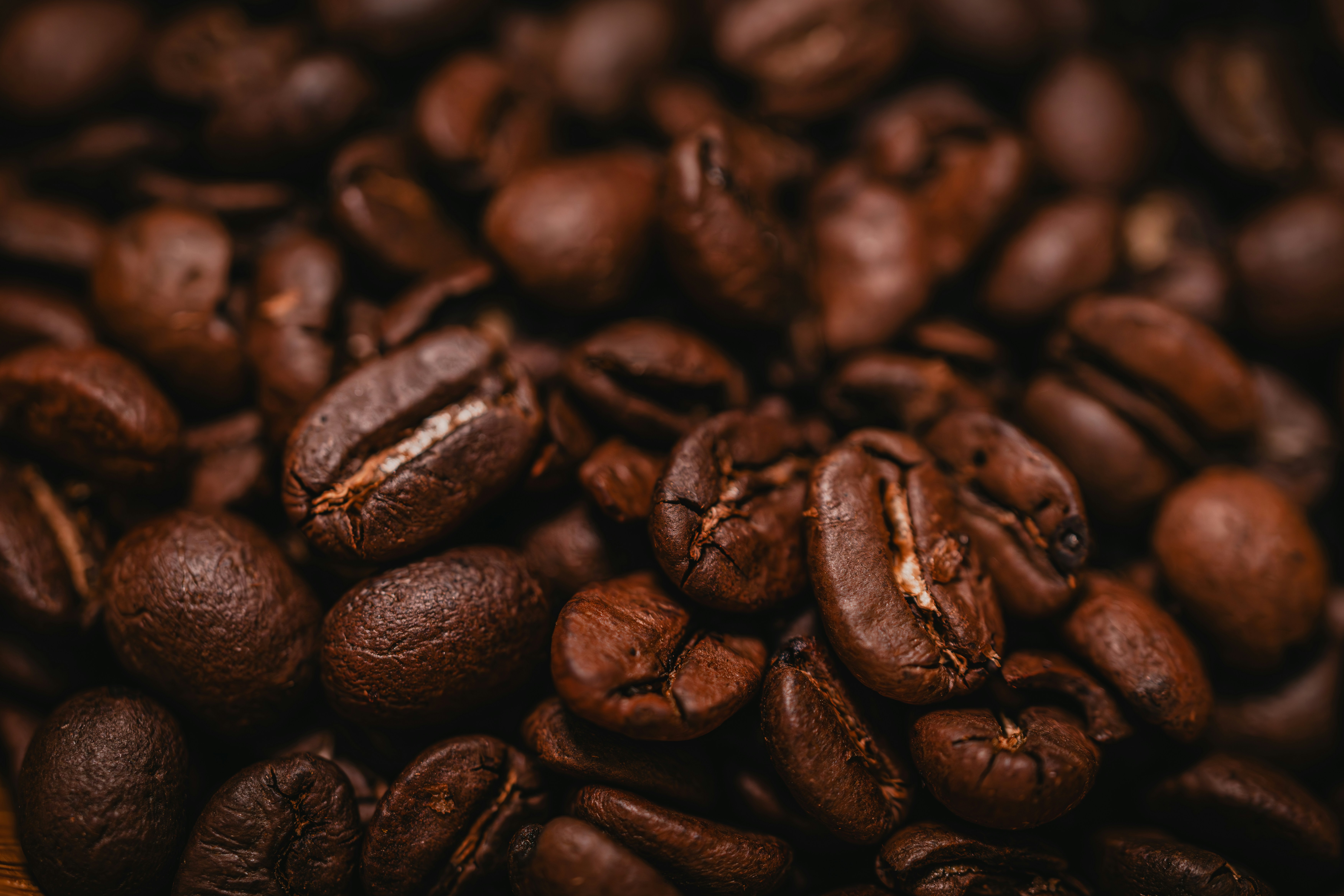 Photo by salabarria_23