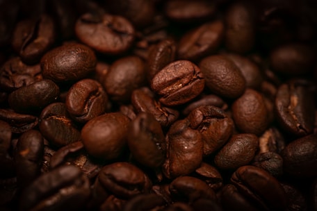 Close-up of freshly roasted Santos coffee beans with warm lighting highlighting their texture.