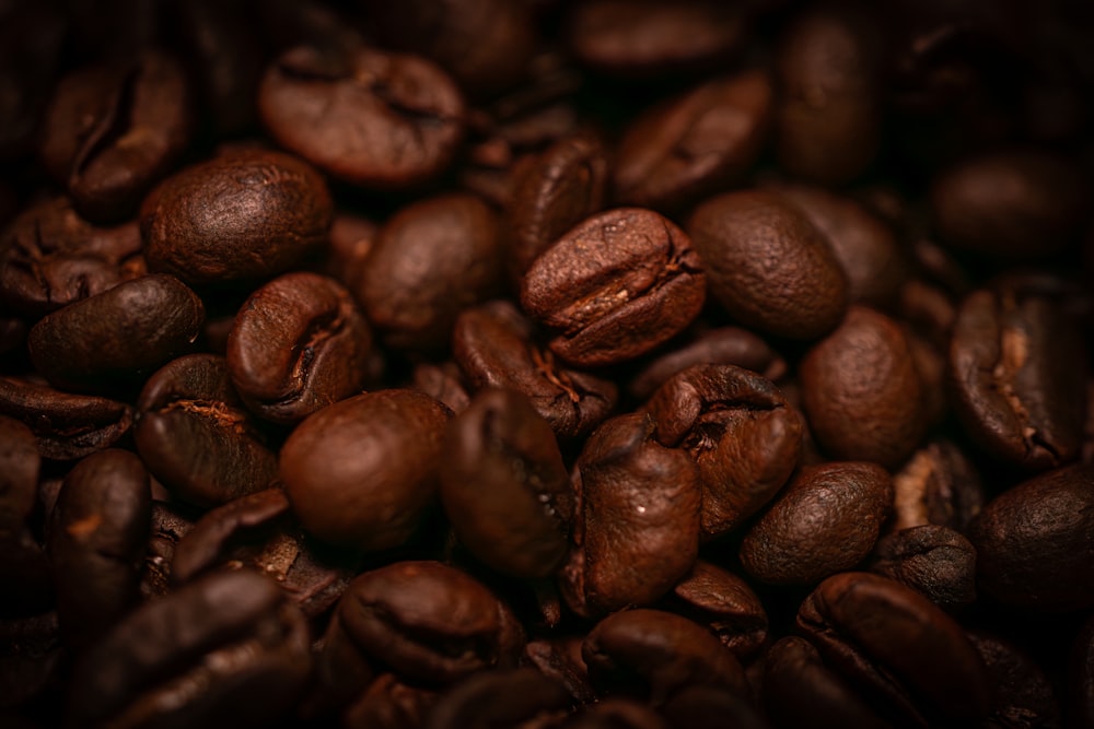 a pile of roasted coffee beans