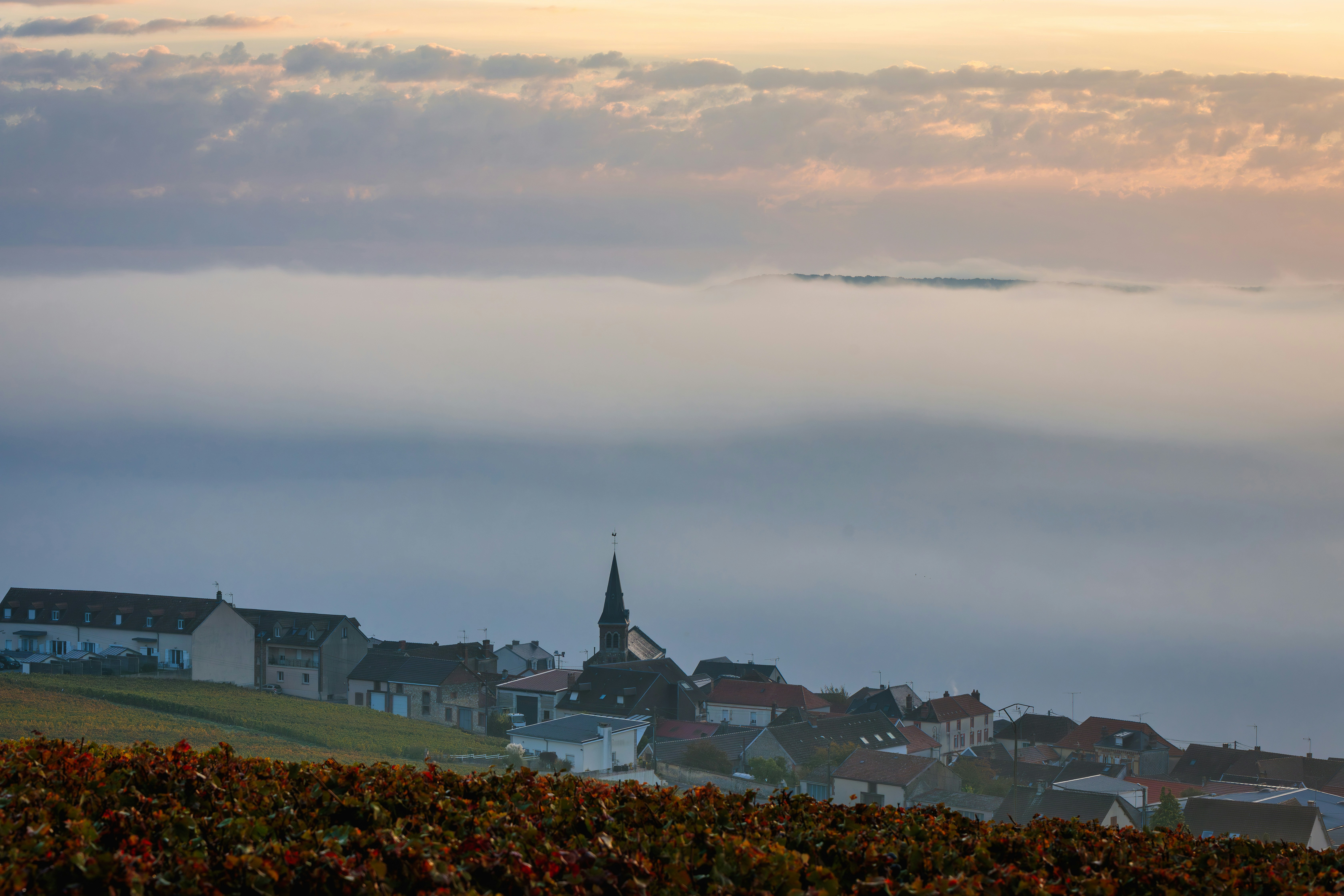 BOCAVET — Cabinet de Bel Air (Bressuire) — Bressuire