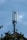 A cell tower stands atop a building with a clear sky in the background. The tower features multiple antennas and cables, indicating its use for telecommunications. Partial foliage from nearby trees can be seen in the foreground.