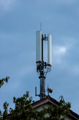 A cell tower stands atop a building with a clear sky in the background. The tower features multiple antennas and cables, indicating its use for telecommunications. Partial foliage from nearby trees can be seen in the foreground.