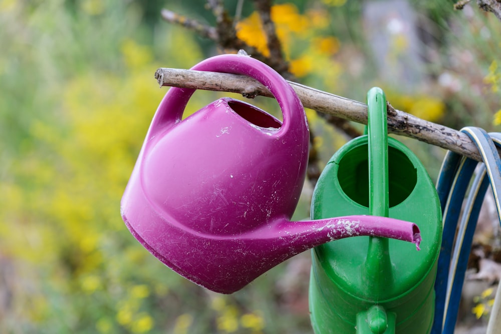 a watering can and a watering hose hanging from a tree branch
