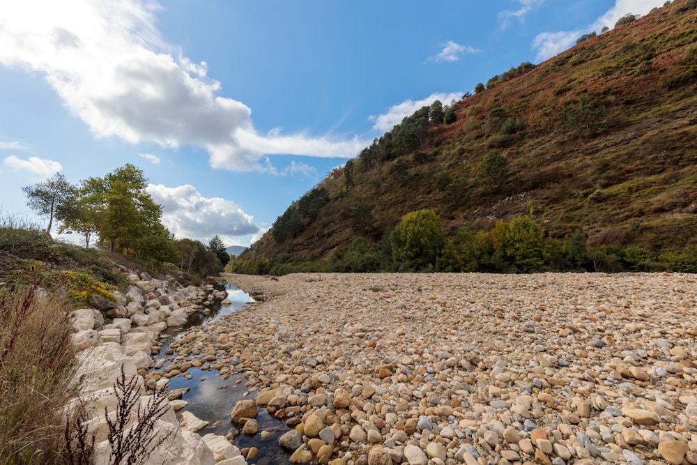 a river running through a lush green hillside